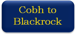 Blackrock button