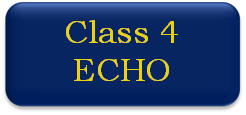 Class 4 ECHO button